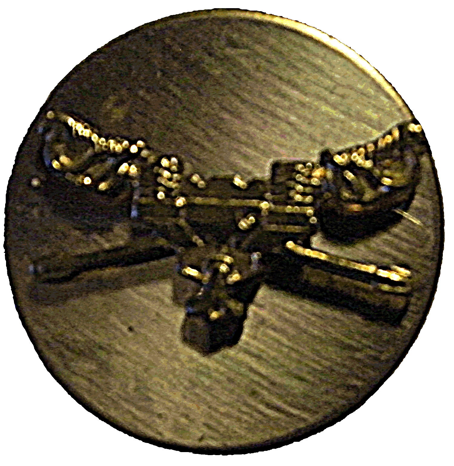insignia21.gif