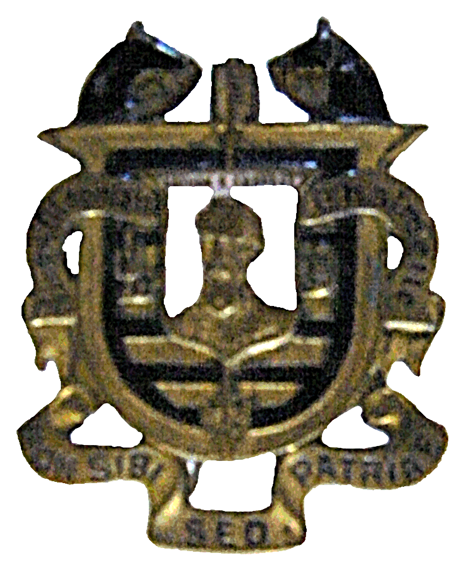 insignia5.gif
