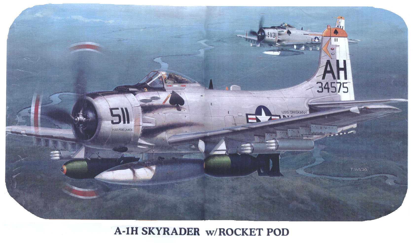 skyraider5.jpg